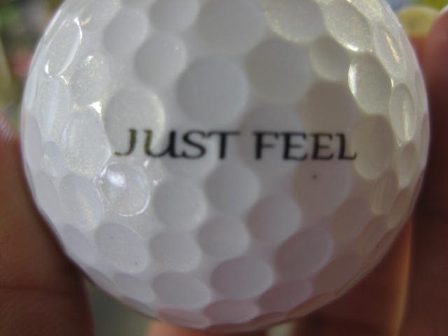 http://www.golfpartner.co.jp/554/IMG_2195.JPG