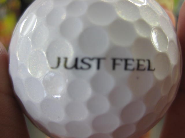 http://www.golfpartner.co.jp/554/IMG_2196.JPG
