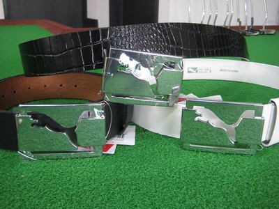 http://www.golfpartner.co.jp/554/IMG_3122.JPG