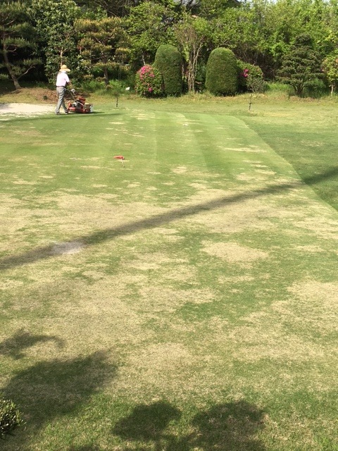 http://www.golfpartner.co.jp/554/IMG_3910.JPG