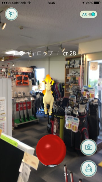 http://www.golfpartner.co.jp/554/IMG_4892.PNG