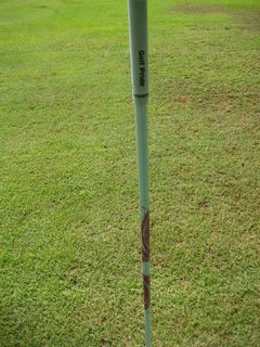 http://www.golfpartner.co.jp/554/IMG_5890.JPG