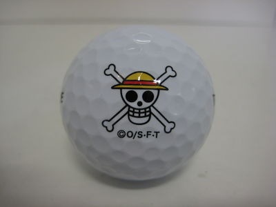 http://www.golfpartner.co.jp/554/IMG_8848.JPG