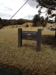http://www.golfpartner.co.jp/554/bear1.JPG