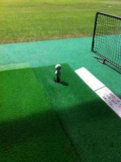 http://www.golfpartner.co.jp/554/blog.JPG