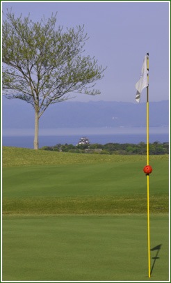 http://www.golfpartner.co.jp/554/green.jpg