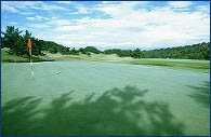 http://www.golfpartner.co.jp/554/q16c.jpg