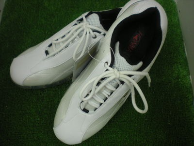 http://www.golfpartner.co.jp/558/DSCN4142.JPG