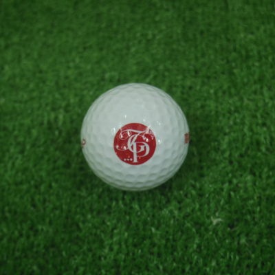 http://www.golfpartner.co.jp/558/IMGP4799.JPG