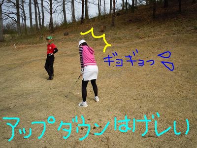 http://www.golfpartner.co.jp/560/%E6%9D%B1%EF%BC%AD%EF%BC%A1%EF%BC%B8%E5%BA%97%E9%95%B7000%20320.jpg