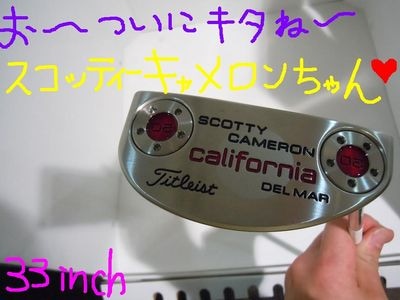 http://www.golfpartner.co.jp/560/7.jpg