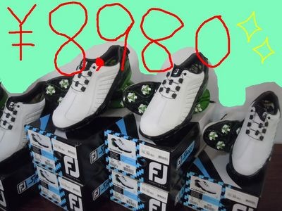 http://www.golfpartner.co.jp/560/FJ1.jpg
