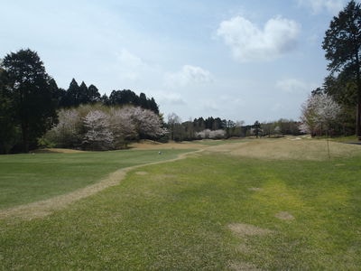 http://www.golfpartner.co.jp/565/P4160121.JPG