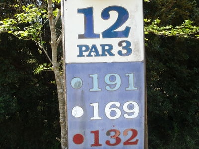 http://www.golfpartner.co.jp/565/P4240126.JPG