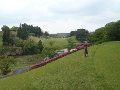 http://www.golfpartner.co.jp/565/P5060133.JPG