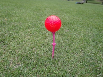 http://www.golfpartner.co.jp/565/P5220155.JPG