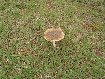 http://www.golfpartner.co.jp/565/P6120168.JPG