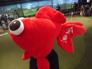 http://www.golfpartner.co.jp/567/DSC06146.JPG