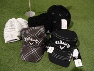 http://www.golfpartner.co.jp/567/DSC08216.JPG