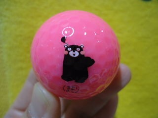 http://www.golfpartner.co.jp/567/DSC08986.JPG