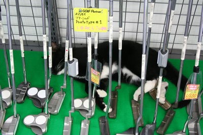 http://www.golfpartner.co.jp/568/IMG_1098.JPG