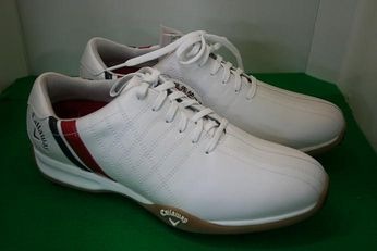 http://www.golfpartner.co.jp/568/IMG_2810.JPG