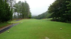 http://www.golfpartner.co.jp/585/teaimages.jpg