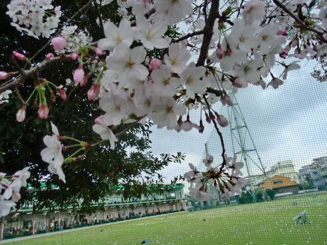http://www.golfpartner.co.jp/587/CIMG7081.JPG