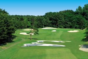 http://www.golfpartner.co.jp/617/341503-1.jpg