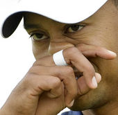 http://www.golfpartner.co.jp/631/%E3%82%BF%E3%82%A4%E3%82%AC%E3%83%BC%EF%BC%93.jpg