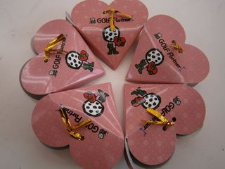http://www.golfpartner.co.jp/9002/%E7%94%BB%E5%83%8F%20017.jpg
