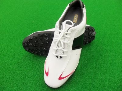 http://www.golfpartner.co.jp/9013/100_9588.JPG
