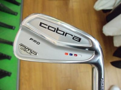 http://www.golfpartner.co.jp/913/100_2465.JPG