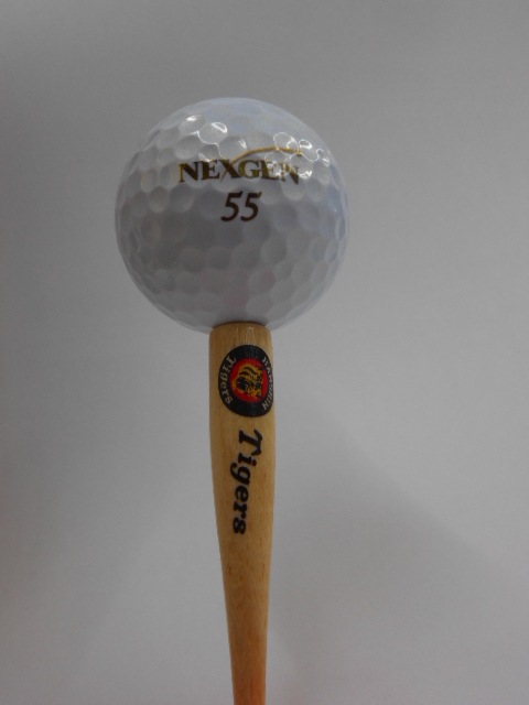 http://www.golfpartner.co.jp/913/DSCN3894.JPG