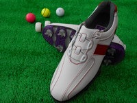 http://www.golfpartner.co.jp/913/assets_c/2015/06/DSCN4664-thumb-200x150-753767.jpg