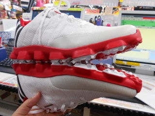 http://www.golfpartner.co.jp/919/eva2.JPG