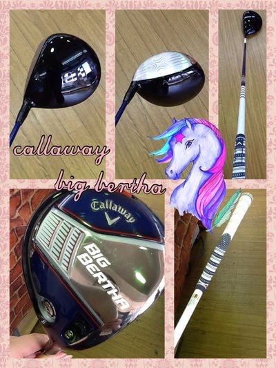 http://www.golfpartner.co.jp/929/IMG_0208.JPG
