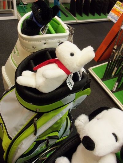 http://www.golfpartner.co.jp/938/101_5063.jpg