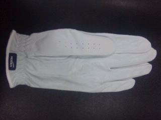 http://www.golfpartner.co.jp/943r/SH3D0272.jpg