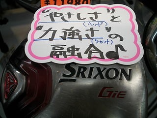 http://www.golfpartner.co.jp/946/DS645644141.JPG