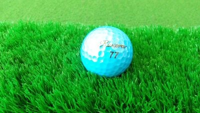 http://www.golfpartner.co.jp/950/%E7%94%BB%E5%83%8F%20004.jpg