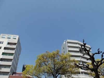 http://www.golfpartner.co.jp/950/%EF%BD%8C%EF%BD%8C88888.jpg