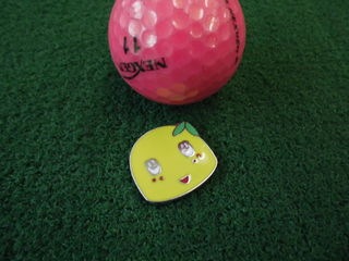 http://www.golfpartner.co.jp/950/CIMG0533.JPG
