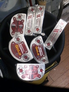 http://www.golfpartner.co.jp/950/P6280039.JPG