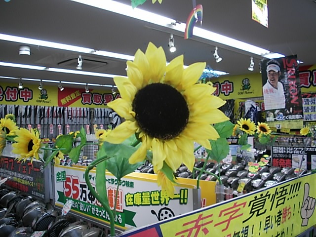http://www.golfpartner.co.jp/956/%E5%A4%8F%E3%81%B2%E3%81%BE.JPG