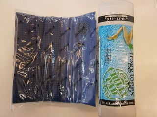 http://www.golfpartner.co.jp/959/P8120001.JPG