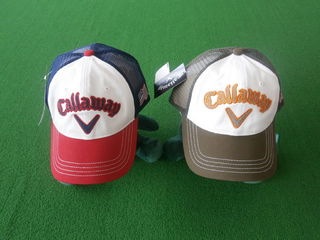 http://www.golfpartner.co.jp/959/P8120011.JPG