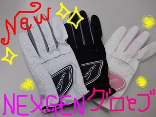 http://www.golfpartner.co.jp/960r/IMGP6590.jpg