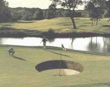 http://www.golfpartner.co.jp/962/%E3%81%B1%E3%81%9F%E3%83%BC.jpg