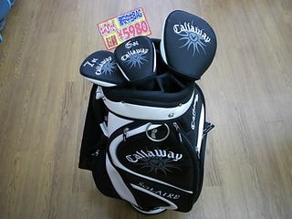 http://www.golfpartner.co.jp/965/DSCI0098.JPG